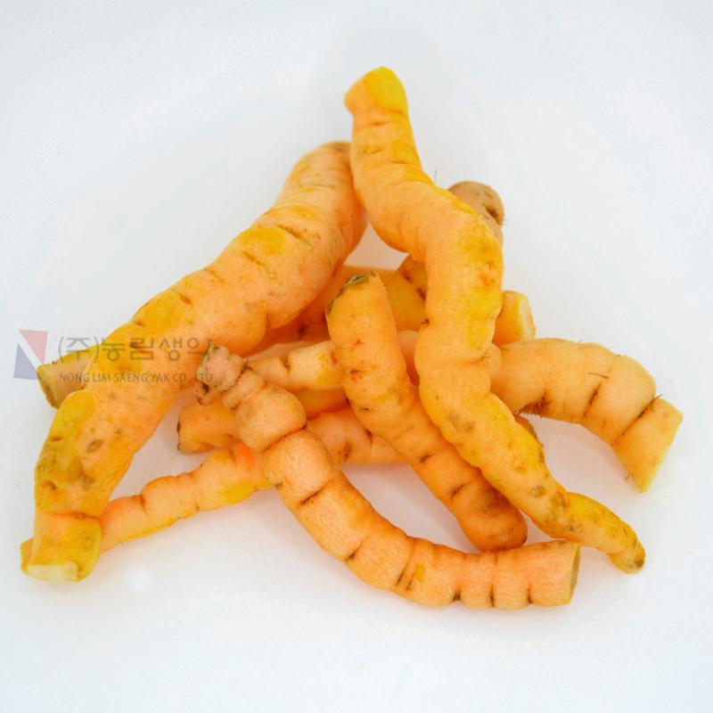 생지황 (냉동,냉장보관)